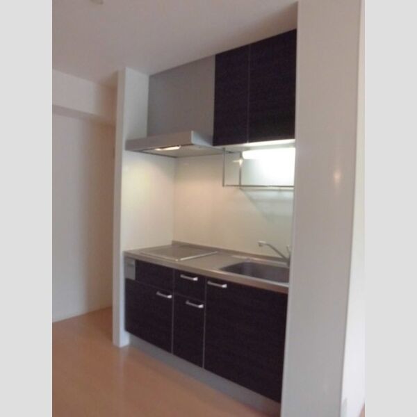 エミナンスⅡ201号室 システムキッチン