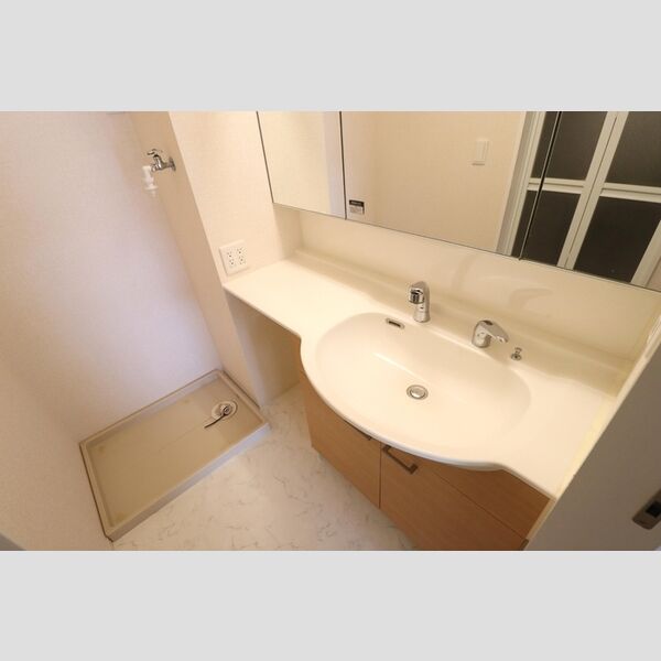 アムール花崎103号室 洗髪洗面化粧台