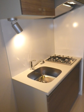 グラントゥルース大山西町301号室 キッチン