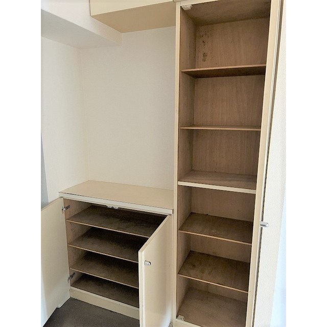 フラッツ1000523号室 シューズボックス