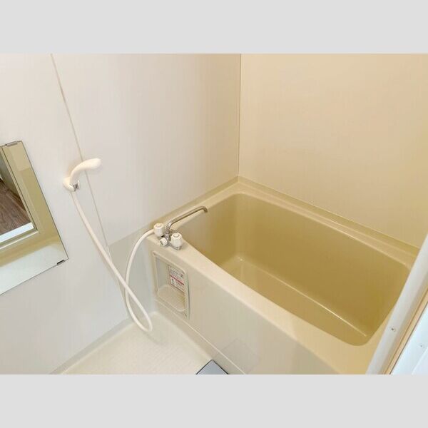 スプリング・クレイン　Ⅱ バス