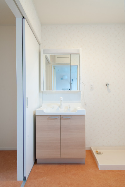 ラ・メゾン・マロニエ 洗面