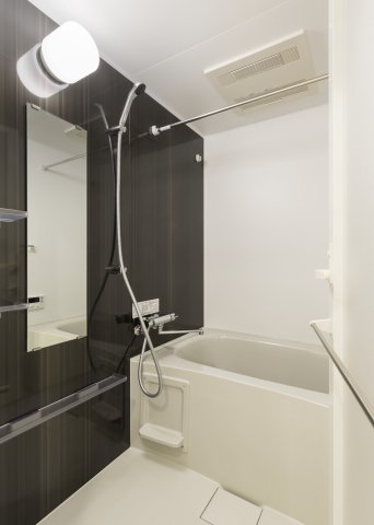 DIPS赤羽北WEST304号室 お風呂