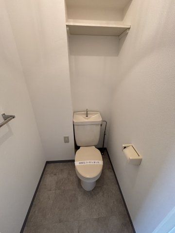 ビューテラスパティオ0201号室 トイレ