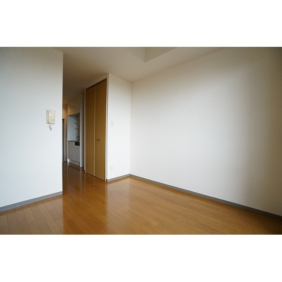 プリマヴェーラ問屋町0707号室 洋室