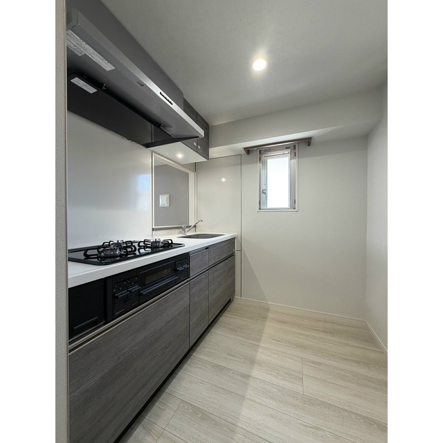 プレール・ドゥーク亀戸小村井101号室 システムキッチン