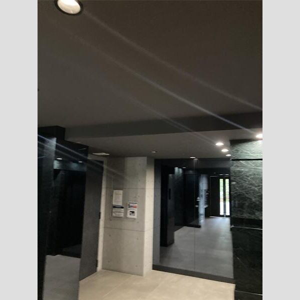 S-RESIDENCE両国avenue601号室 エントランス