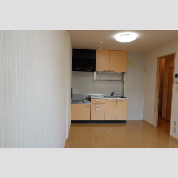 チャオ南狭山N205号室 キッチン