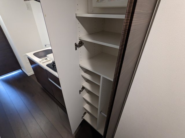 ケーディーエックスレジデンス豊洲526号室 収納