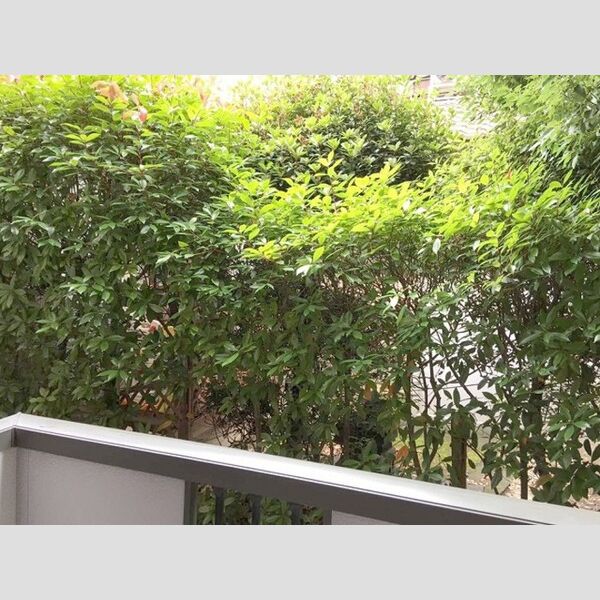 レジデンツ藤　C103号室 眺望