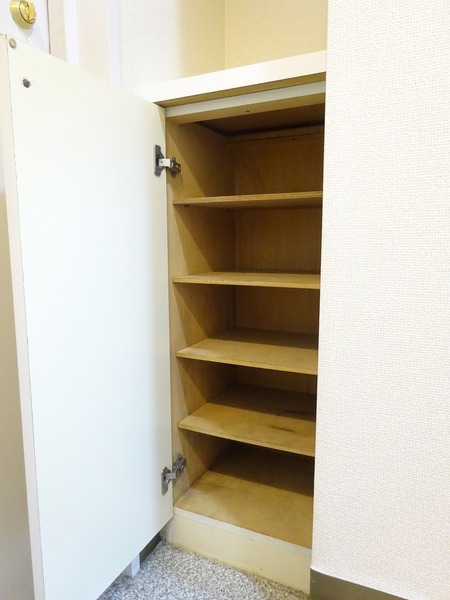 ドルフ高円寺南 玄関