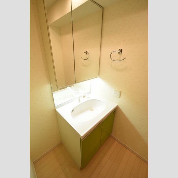 ロイヤルパークス西新井1023号室 洗面台