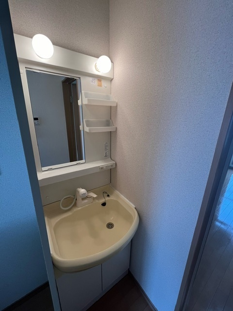 プカラサ八王子 洗面