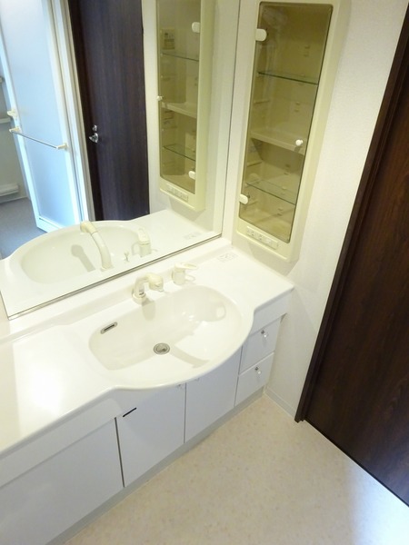 ライフレビュー多摩川204号室 洗面