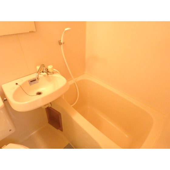 サンライズ北柏301号室 その他