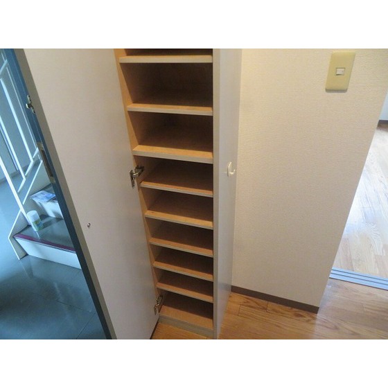 ＴＳ１ シューズボックス