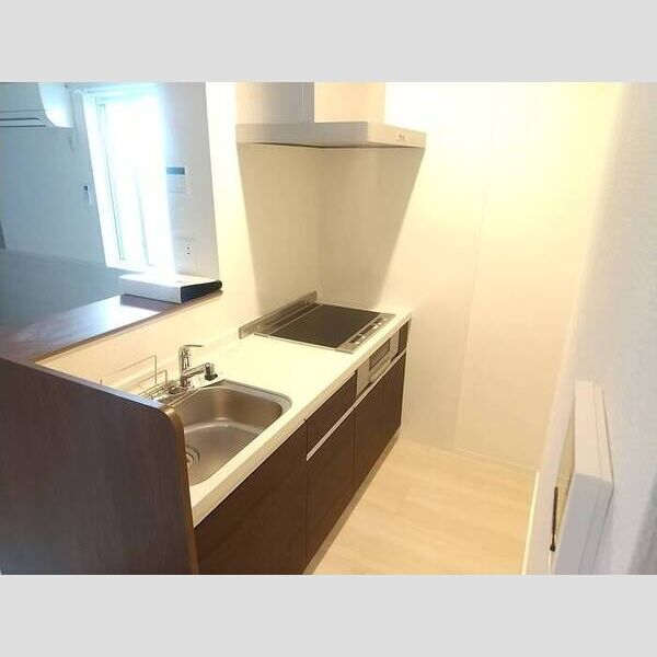 ロイジェント加美平105号室 システムキッチン