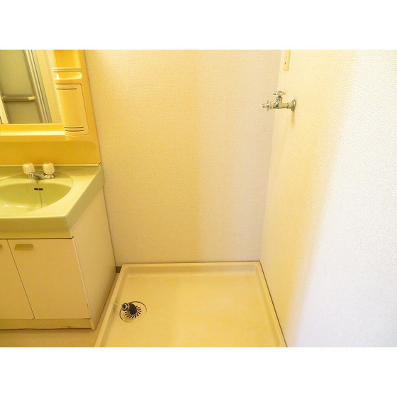 マインドホームズ0305号室 室内洗濯機置場