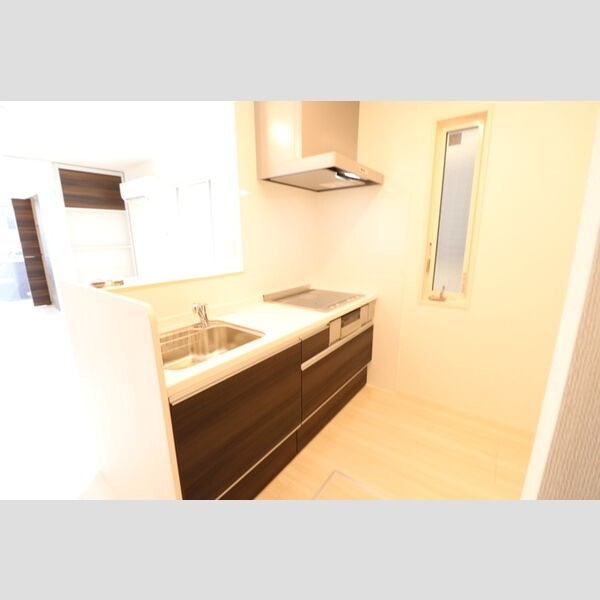 ルミエール(入間)102号室 システムキッチン