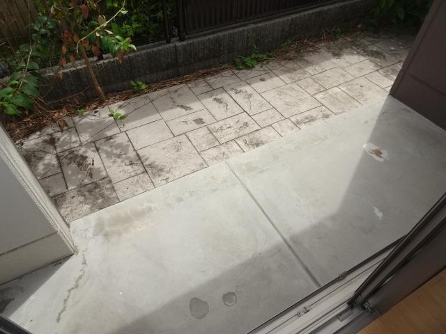 ブリーズパレス101号室 専用庭