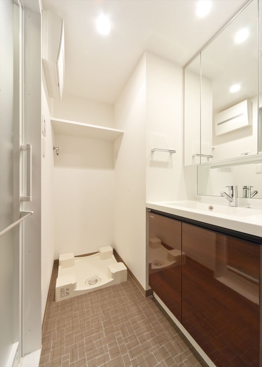 DIPS南六郷208号室 洗面