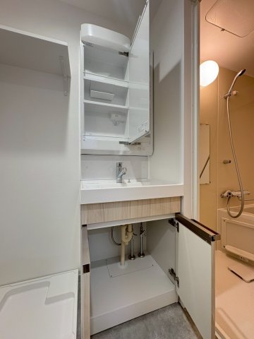 DIPS竹ノ塚駅前701号室 洗面