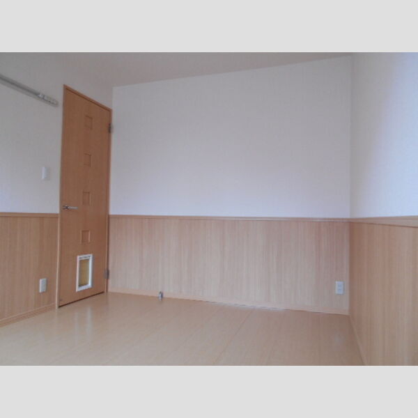 アミューズA・B　A102号室 洋室