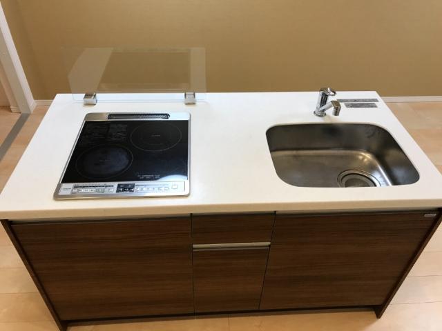 リバーサイドカネヤマ システムキッチン（イメージ）