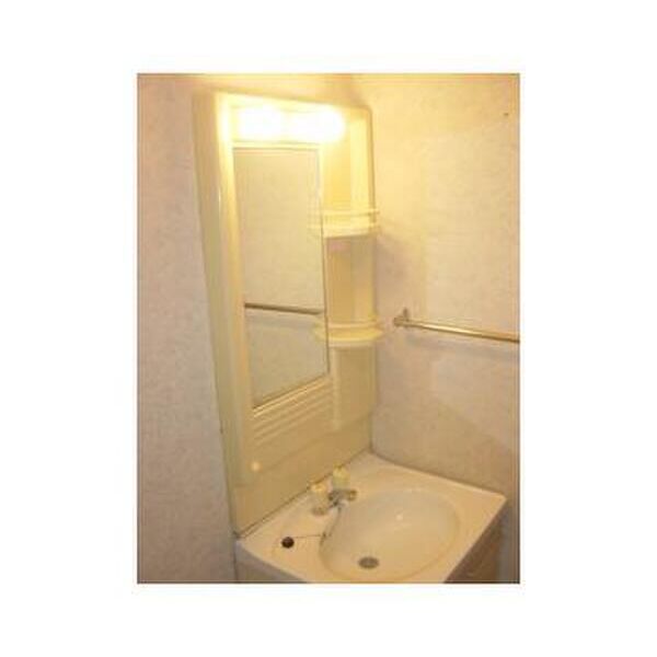 エステートピア山崎C104号室 洗面