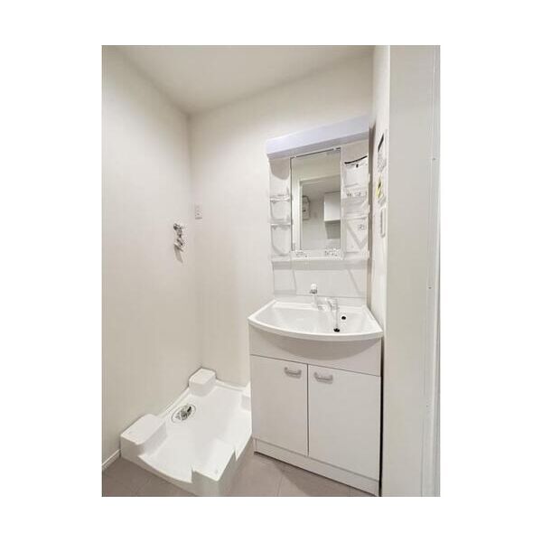 レイズ日進105号室 洗面