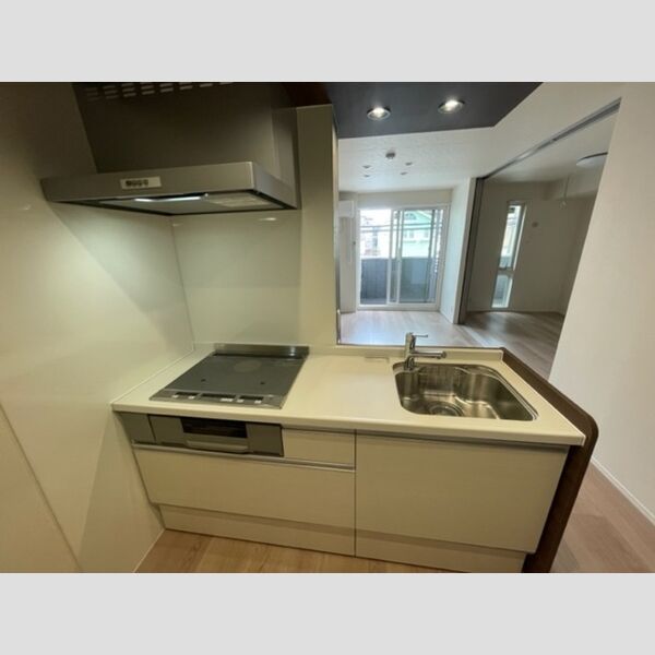 プランドール(富士見)206号室 システムキッチン
