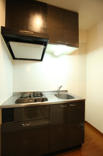 ルーブル上鷺宮 システムキッチン(2口ガスコンロ)