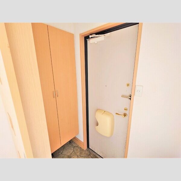 ルミナーレ 玄関