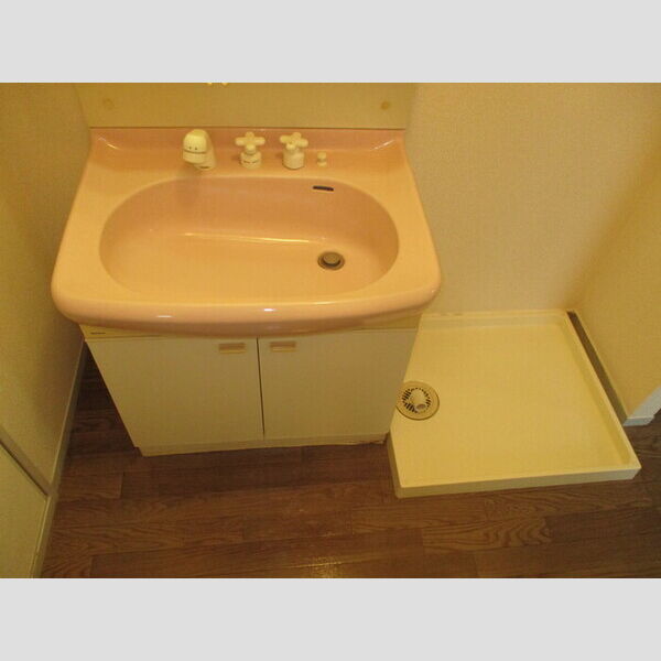 メゾンサンク 洗髪洗面化粧台、室内洗濯機置場