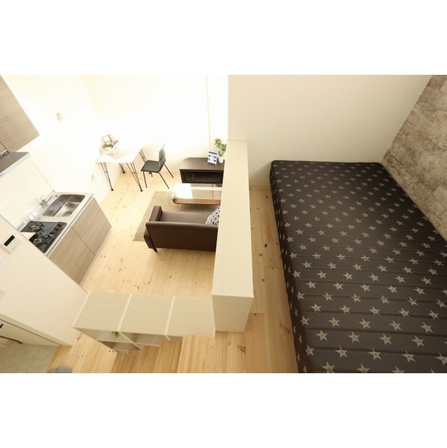 Ｍａｉｓｏｎ　ｄｅ　ｌａ　ｐｌａｇｅ202号室 ロフト