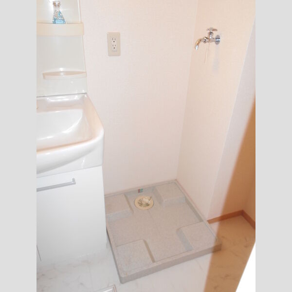 ベルデュール(F)203号室 洗面