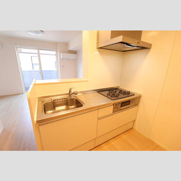 ロイジェントパークス草加手代　B システムキッチン