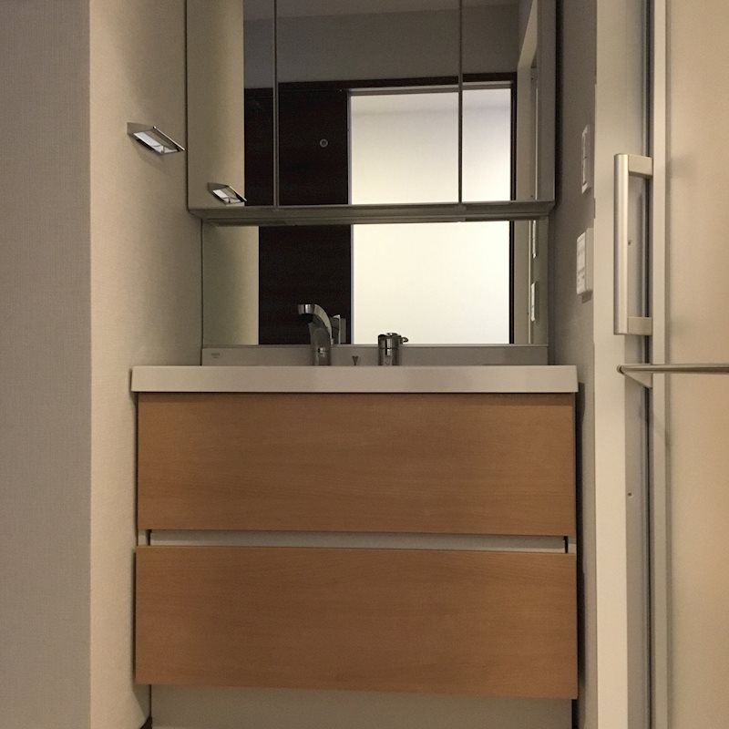 リアン9階 洗面