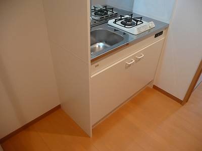 フェニーチェ(E-075) その他、部屋スペース