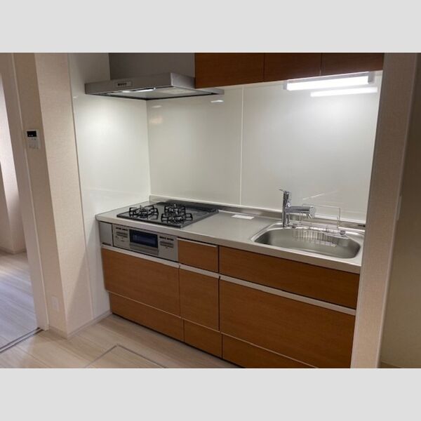 アムール東向島101号室 キッチン