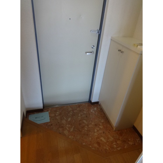 プリマヴェーラ問屋町0603号室 玄関