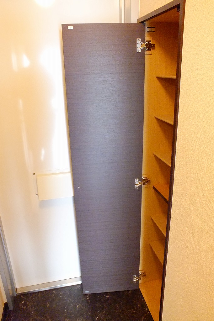 レオネクストグランパール久住204号室 下駄箱