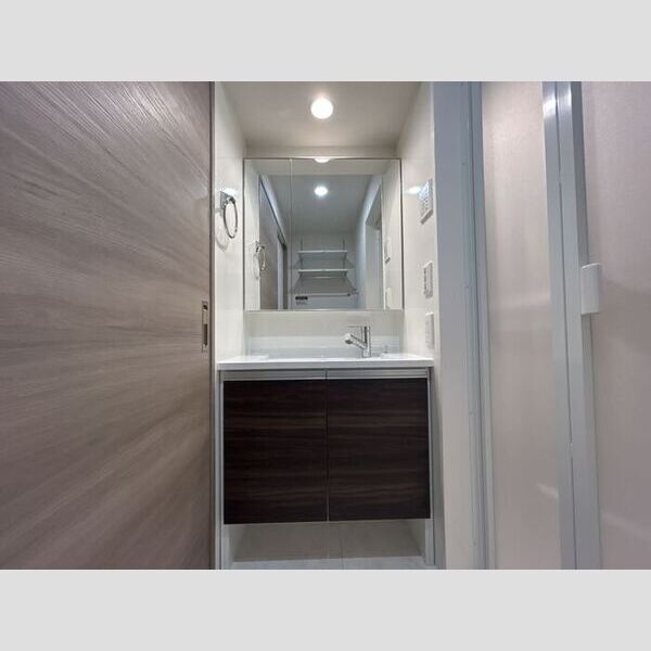 セレスティア加賀 201号室　洗面所