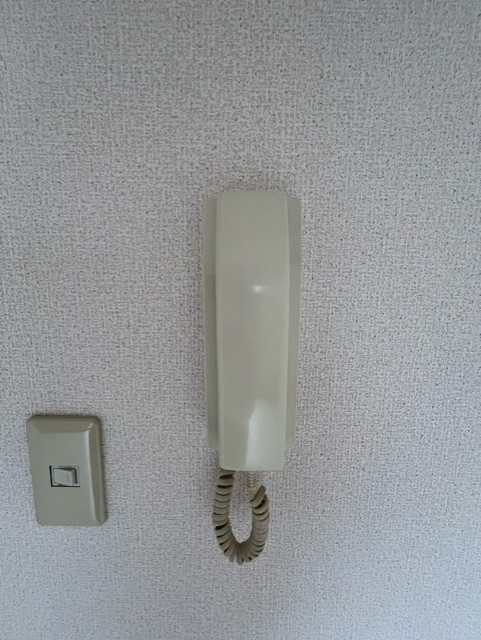 ルミエール八王子0503号室 セキュリティ