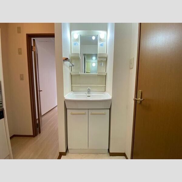 サン ヴィクトワール 独立洗面台