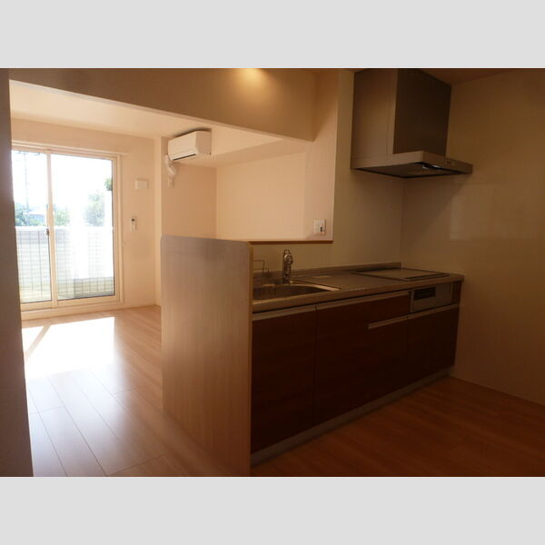 安行藤八D-room　Ⅱ202号室 システムキッチン(対面)