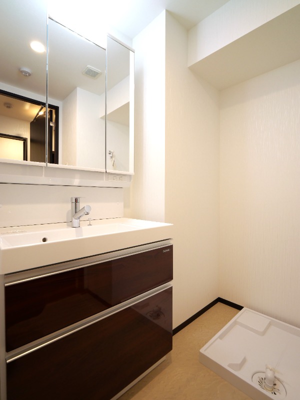 プレジオ宮崎台2階 洗面