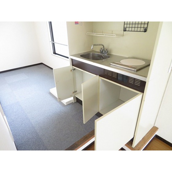 ダイヤモンドレジデンス南大塚 キッチン下収納