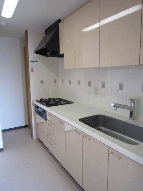 マノー藤沢0402号室 キッチン