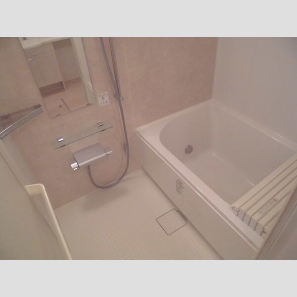 ヴェルドミールカシマⅡ103号室 浴室